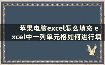 苹果电脑excel怎么填充 excel中一列单元格如何进行填充